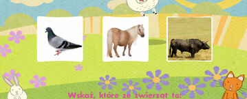 Zwierzęta hodowlane i domowe